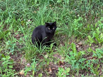 Фото Игоря Арсентьева/«ВК». Фото Игоря Арсентьева/«ВК».