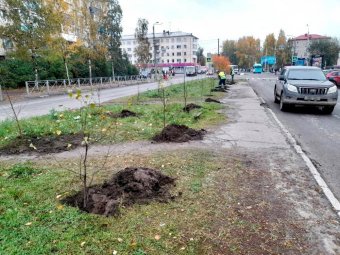 Фото: пресс-служба администрации Архангельска. Фото: пресс-служба администрации Архангельска.