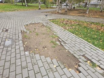 Фото: пресс-служба администрации Архангельска. Фото: пресс-служба администрации Архангельска.