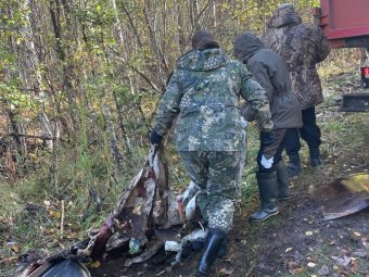 Фото: «ЭкоИнтегратор». Фото: «ЭкоИнтегратор».