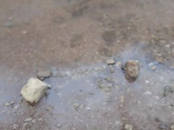 Стоп-кадр из видео, опубликованного в группе «Комитет защиты Северной Двины г. Котлас». Стоп-кадр из видео, опубликованного в группе «Комитет защиты Северной Двины г. Котлас».