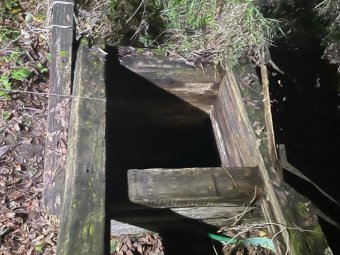 Фото: СУ СК РФ по Архангельской области и НАО. Фото: СУ СК РФ по Архангельской области и НАО.