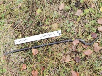 Фото: СУ СК. Фото: СУ СК.