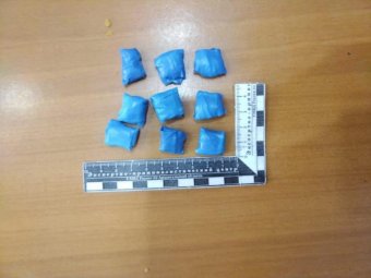 Фото пресс-службы УМВД по Архангельской области.