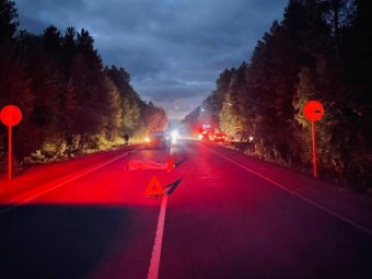 Фото: УМВД.
