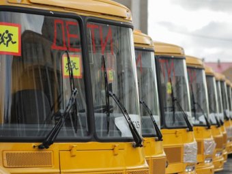 Фото: пресс-служба правительства Архангельской области.