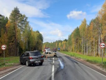 Фото: УМВД. 