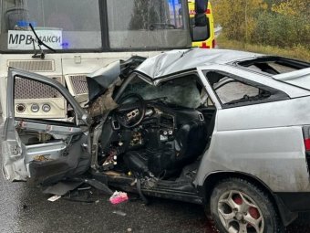 Фото: УМВД по Архангельской области. 