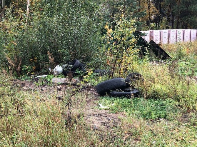 Фото телеграм-канала «Экология Поморья. Северо-Запад».